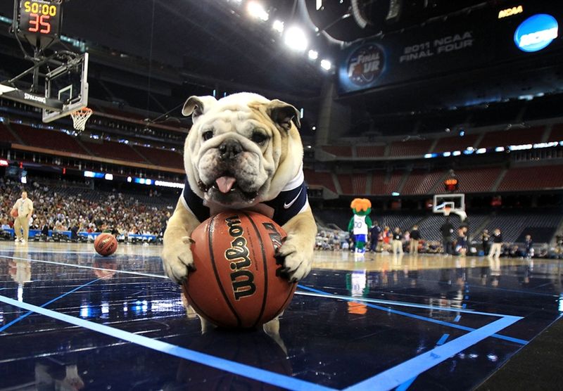 110402 Butler Bulldog