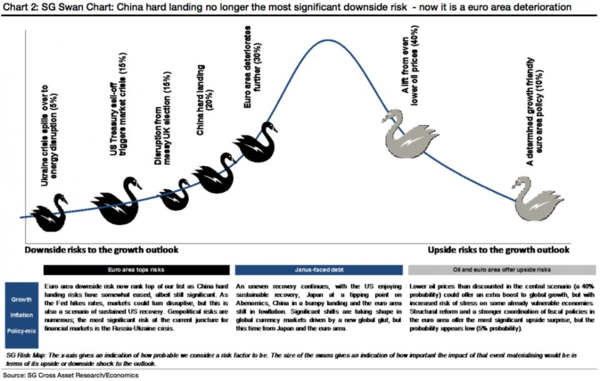 141129 Current Black Swan Risks