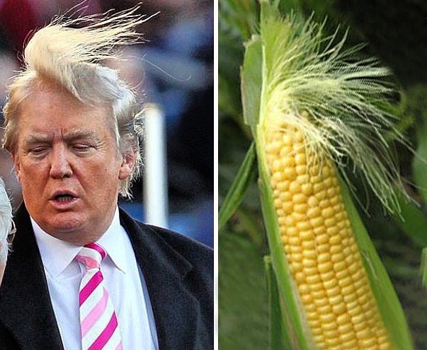 151004 A Trump - Who Wore It Better Challenge
