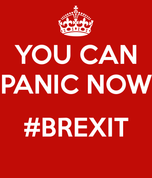 You-can-panic-now-brexit