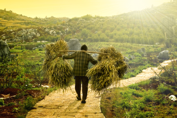 Depositphotos_2758787_xl-2015 Depositphotos_2758787_xl-2015