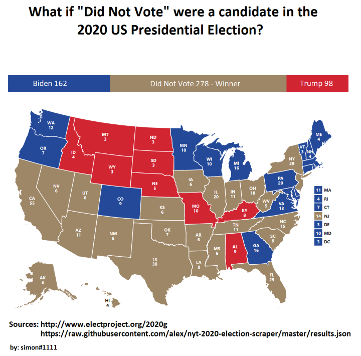 Did-not-vote-2020