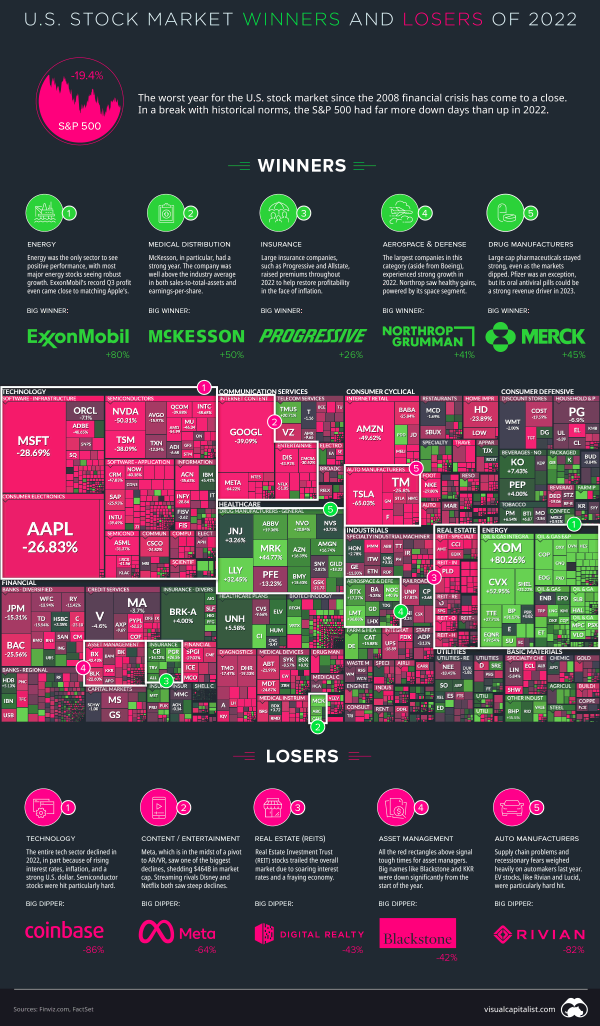 Stock-market-winners-losers-2022