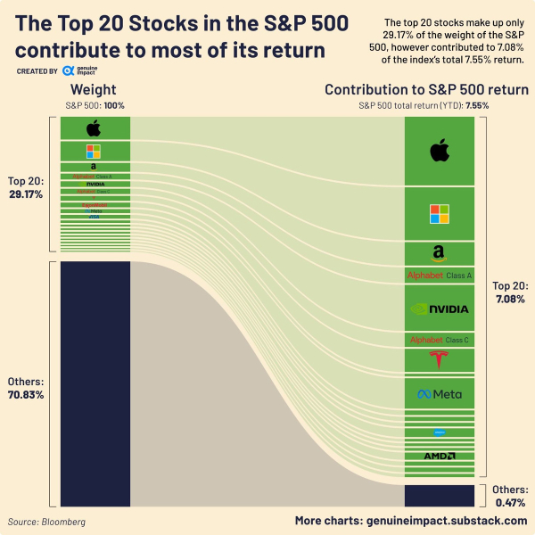 Top20-stocks-sp500