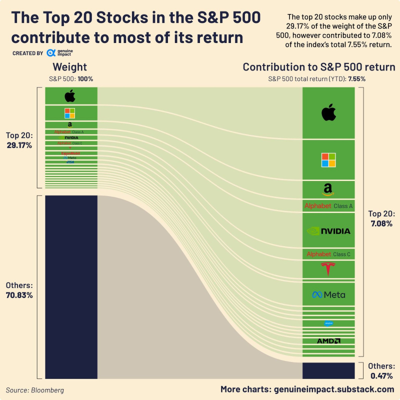 Top20-stocks-sp500