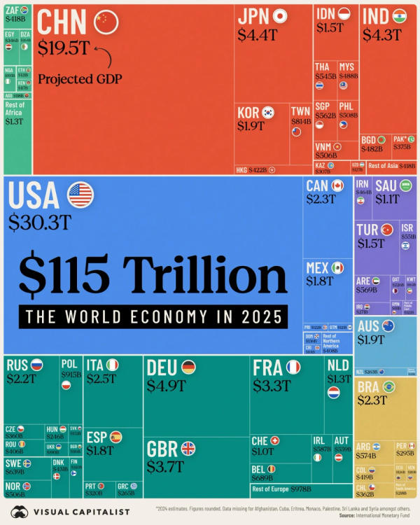 20241228  World Economy in 2025 Infographic