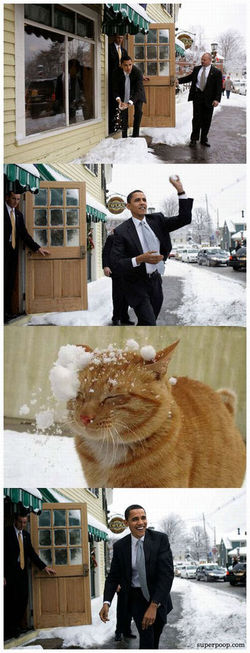 It Is Not What It Looks Like - Snowball