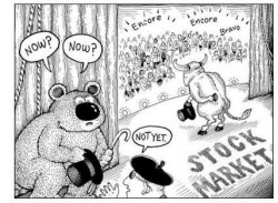 090417 Bear in the Wings
