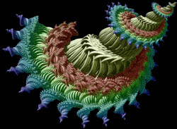 110220 Fractal