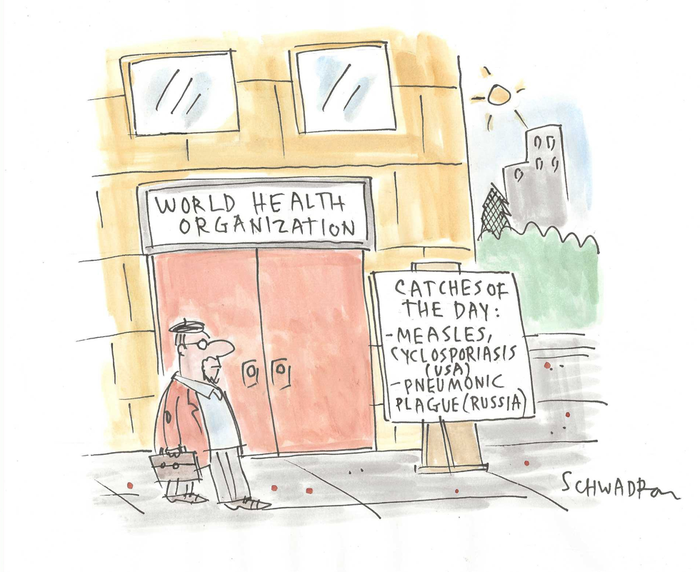 WHO Frames Disease Reports as Daily Catch